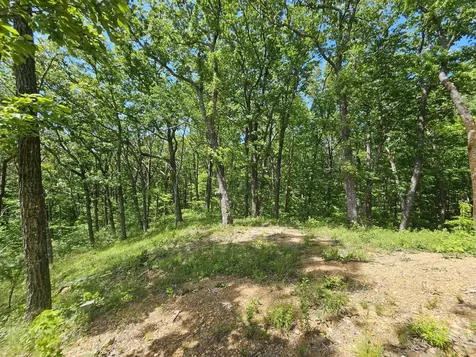 15 Valley View Drive Altamont TN 37301
