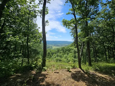 15 Valley View Drive Altamont TN 37301