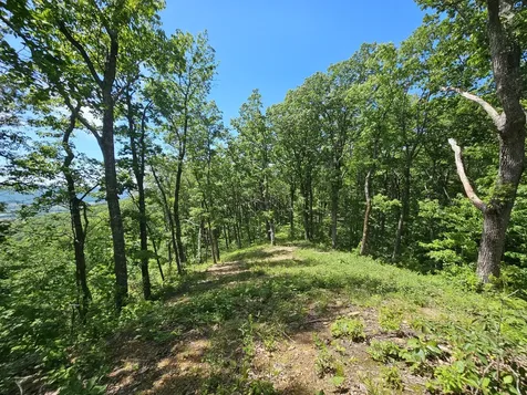 15 Valley View Drive Altamont TN 37301