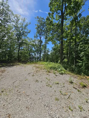 15 Valley View Drive Altamont TN 37301