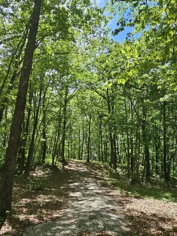 15 Valley View Drive Altamont TN 37301