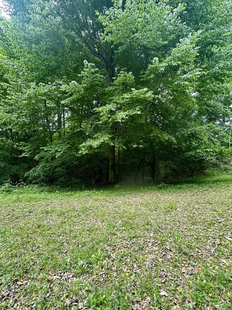 0 Hall Road Greenbrier TN 37073