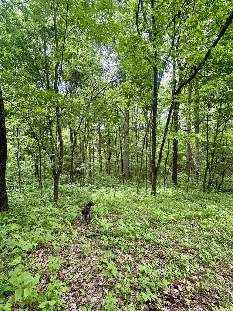 0 Hall Road Greenbrier TN 37073