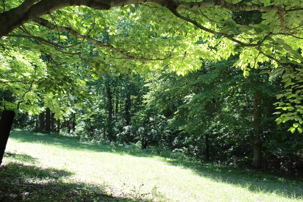 0 Hall Road Greenbrier TN 37073