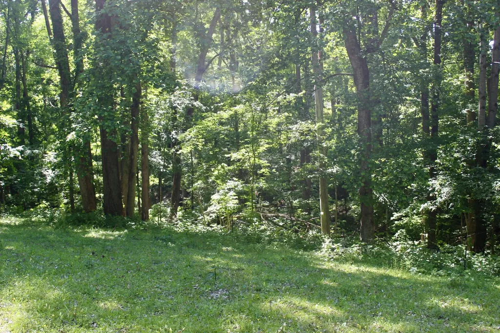 0 Hall Road Greenbrier TN 37073