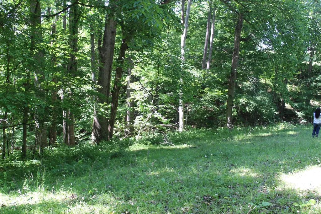 0 Hall Road Greenbrier TN 37073