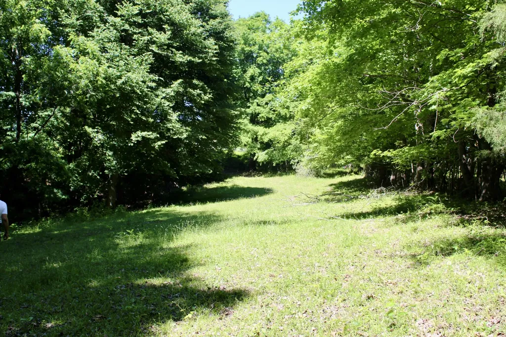 0 Hall Road Greenbrier TN 37073