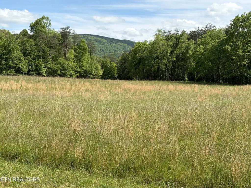 0 Marie Lane Crossville TN 38555