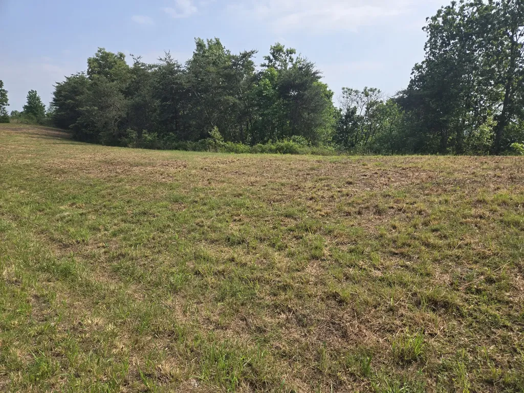 5 Harborview Lane Waverly TN 37185