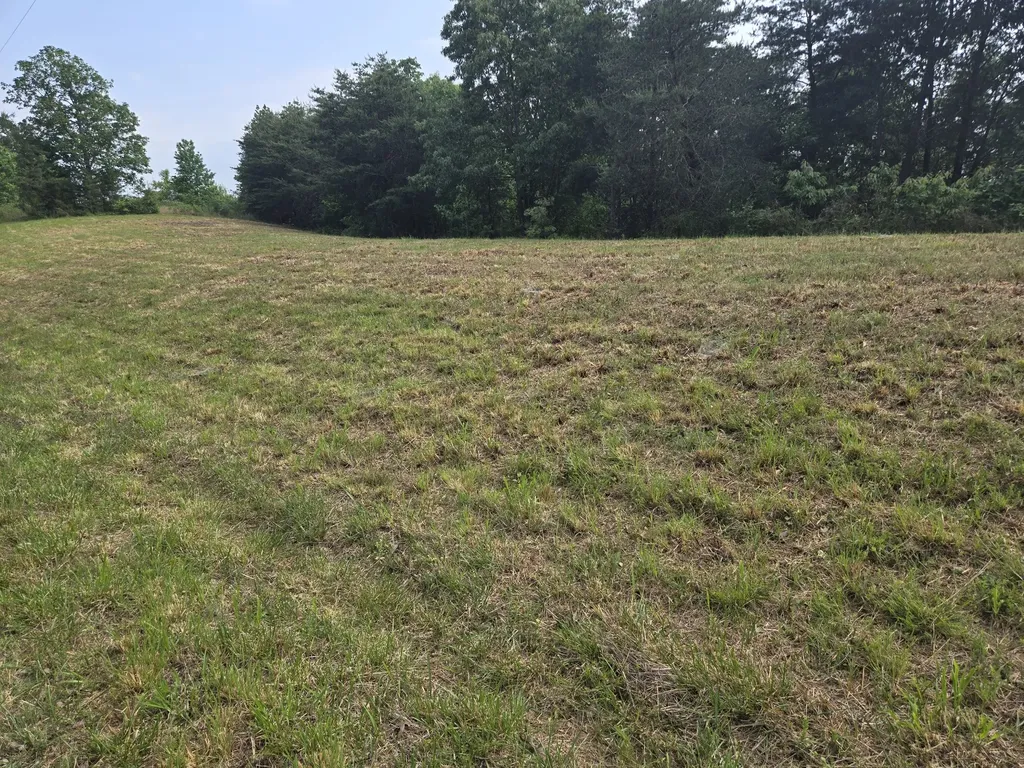 5 Harborview Lane Waverly TN 37185