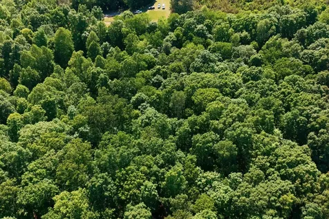 0 Maple Grove Road Dickson TN 37055