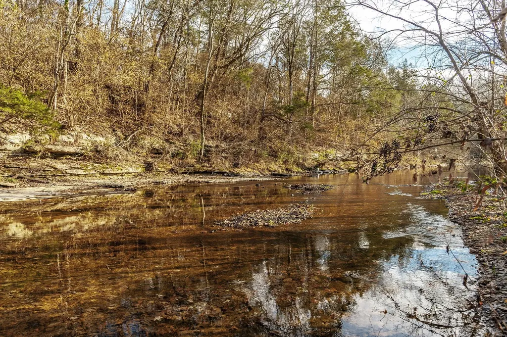 170 Upper Station Camp Crk Road Gallatin TN 37066
