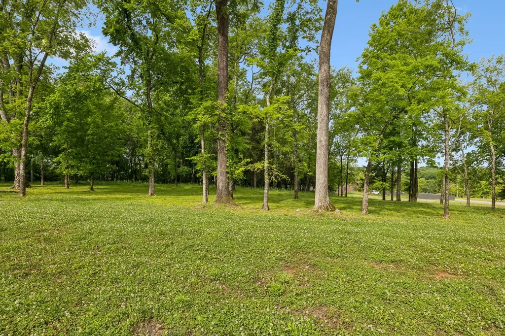 8229 Jolene Drive College Grove TN 37046
