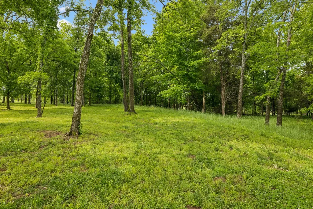8229 Jolene Drive College Grove TN 37046