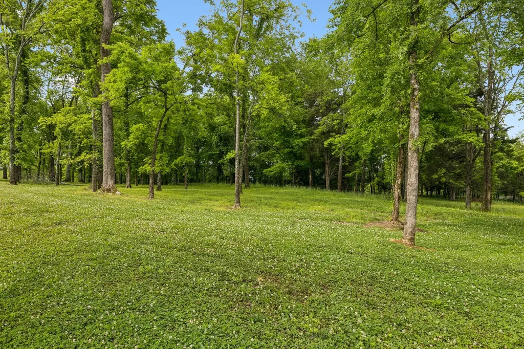 8229 Jolene Drive College Grove TN 37046