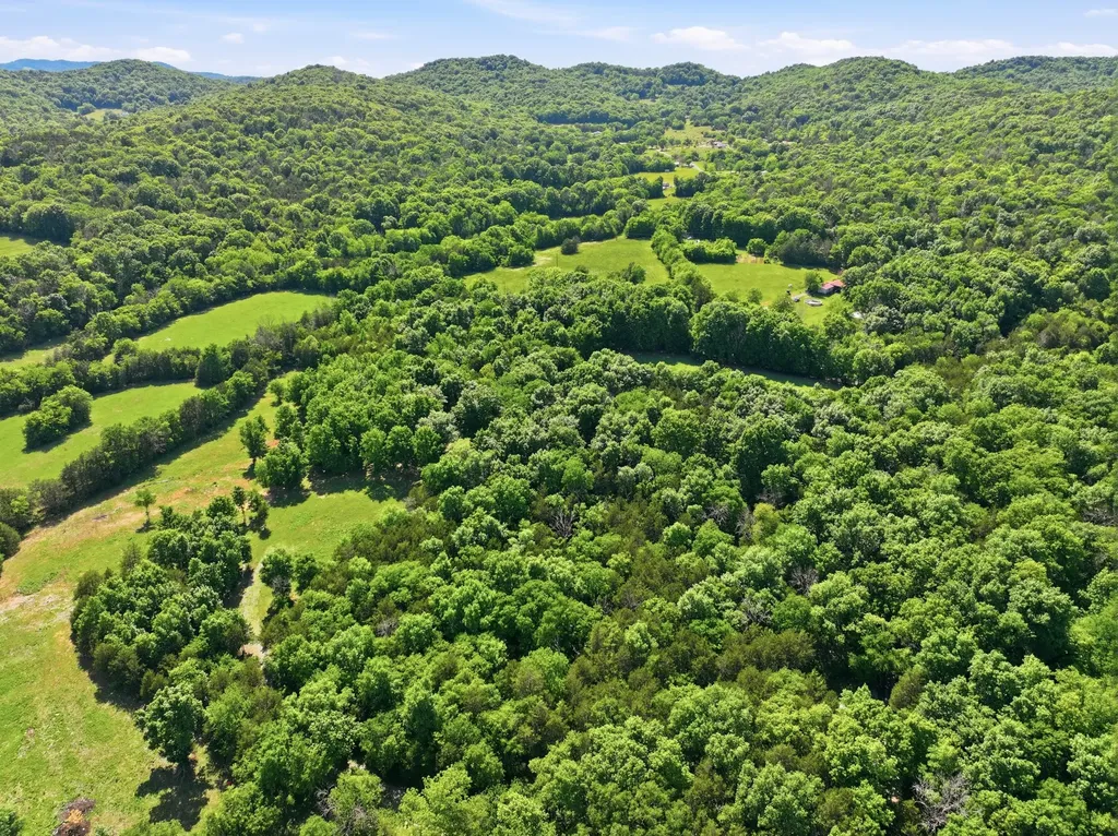 71 Linda Lane Readyville TN 37149