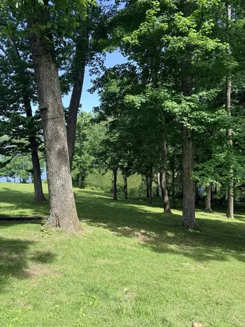 156 Lakeshore Circle Bumpus Mills TN 37028