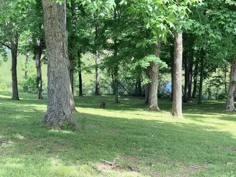 156 Lakeshore Circle Bumpus Mills TN 37028