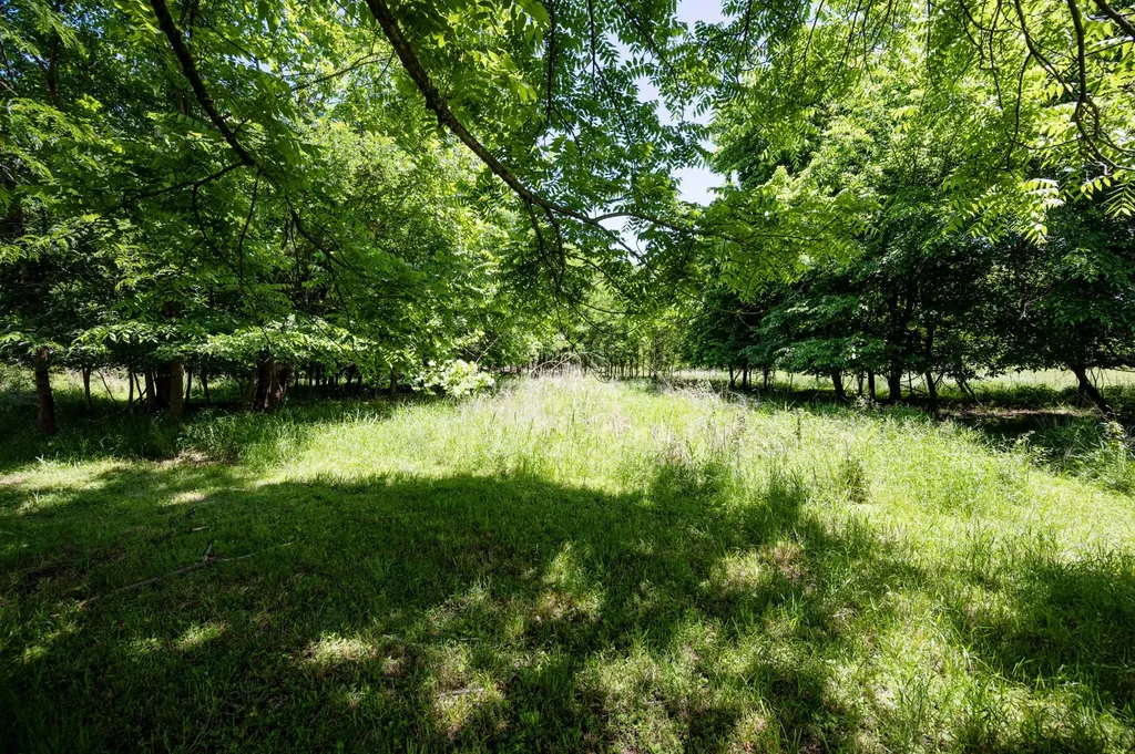 103 Canyon Drive Clarksville TN 37042