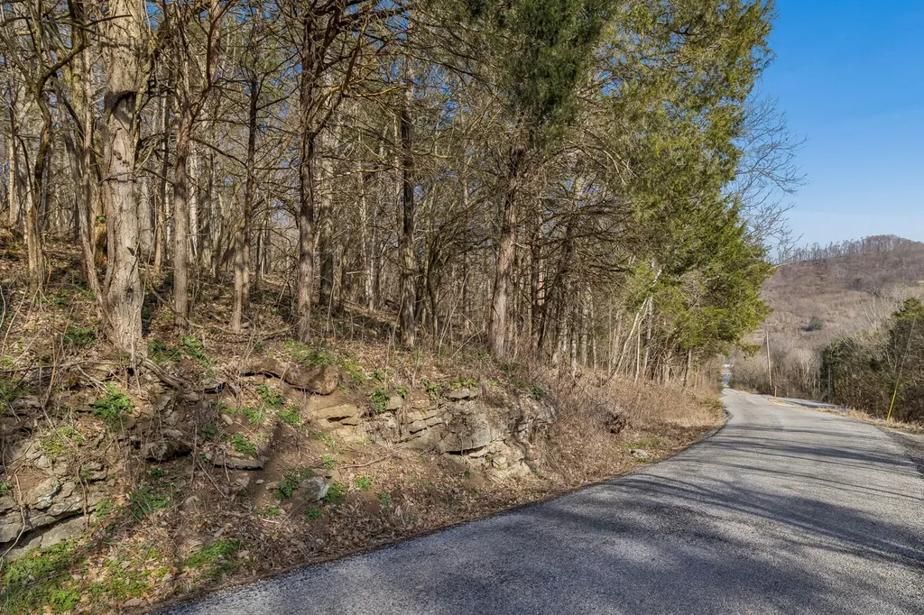 0 Dyer Branch Road Gordonsville TN 38563