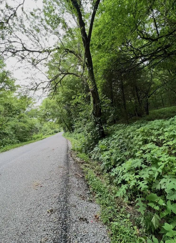 0 Dyer Branch Road Gordonsville TN 38563