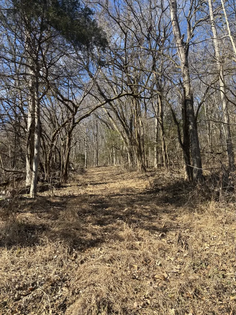 0 Dyer Branch Road Gordonsville TN 38563