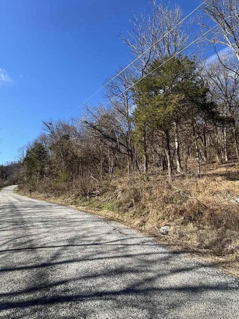 0 Dyer Branch Road Gordonsville TN 38563