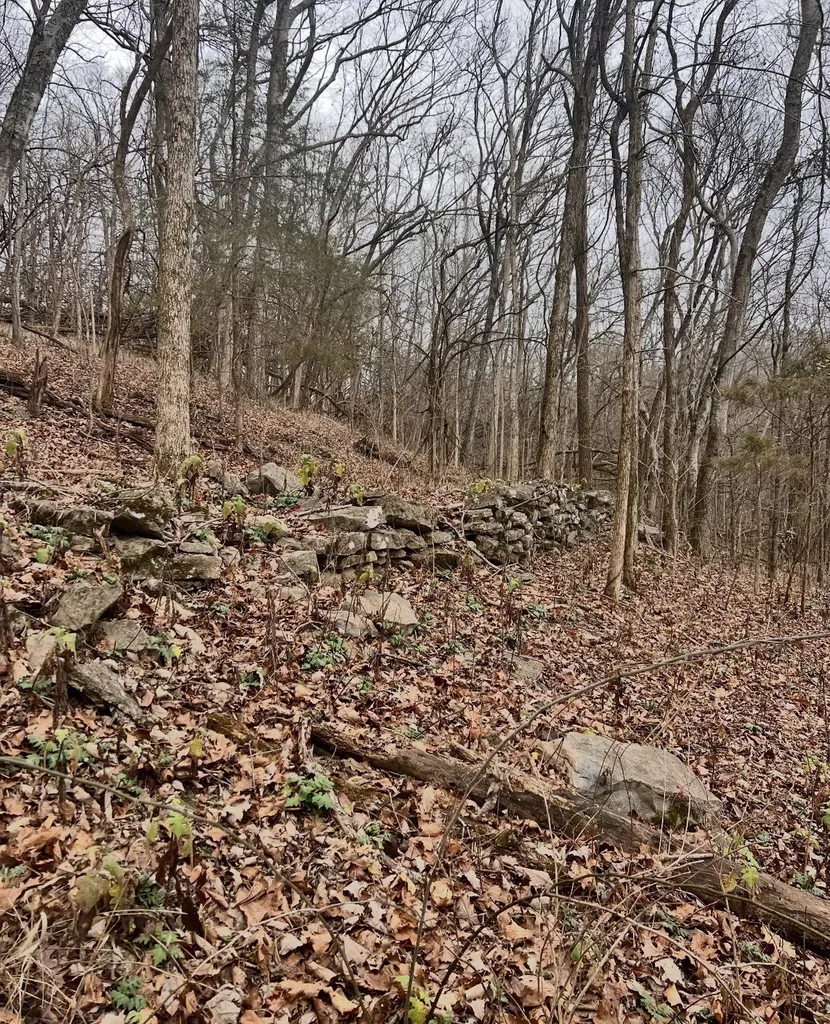 0 Dyer Branch Road Gordonsville TN 38563