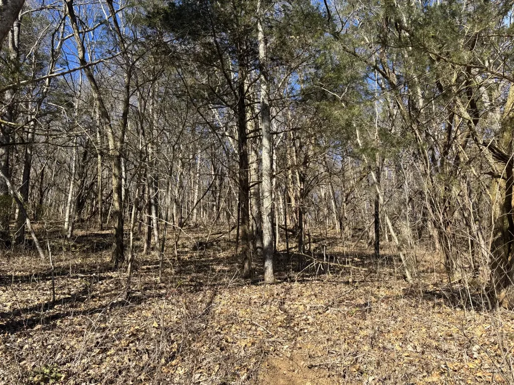 0 Dyer Branch Road Gordonsville TN 38563