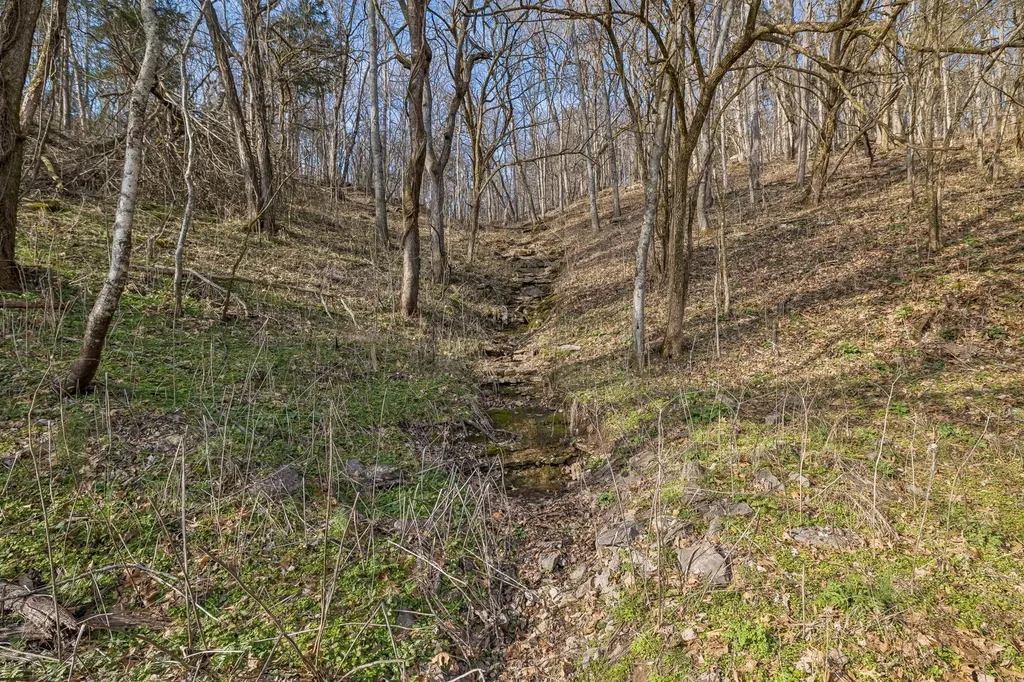 0 Dyer Branch Road Gordonsville TN 38563