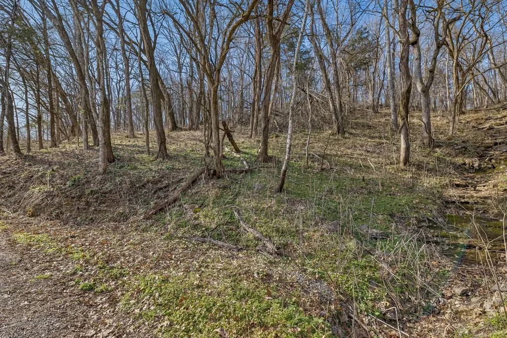 0 Dyer Branch Road Gordonsville TN 38563