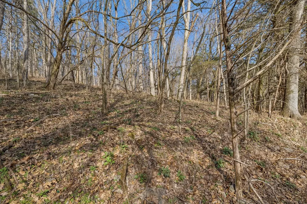 0 Dyer Branch Road Gordonsville TN 38563