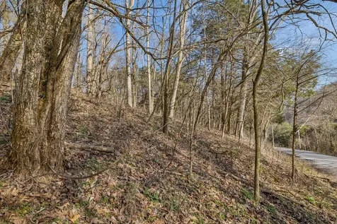 0 Dyer Branch Road Gordonsville TN 38563