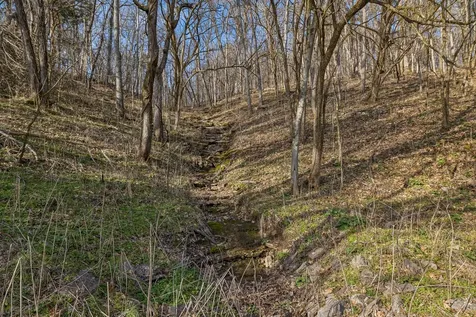 0 Dyer Branch Road Gordonsville TN 38563