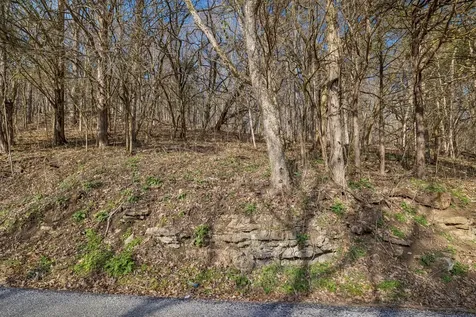 0 Dyer Branch Road Gordonsville TN 38563