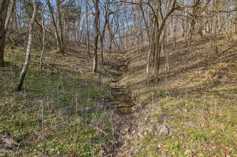 0 Dyer Branch Road Gordonsville TN 38563