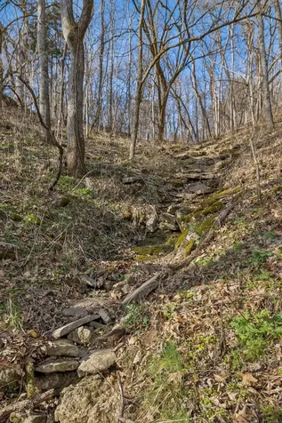 0 Dyer Branch Road Gordonsville TN 38563