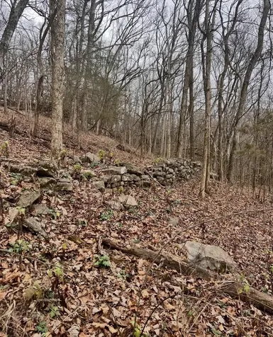 0 Dyer Branch Road Gordonsville TN 38563