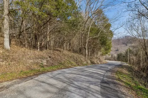 0 Dyer Branch Road Gordonsville TN 38563