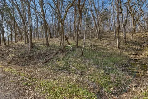 0 Dyer Branch Road Gordonsville TN 38563