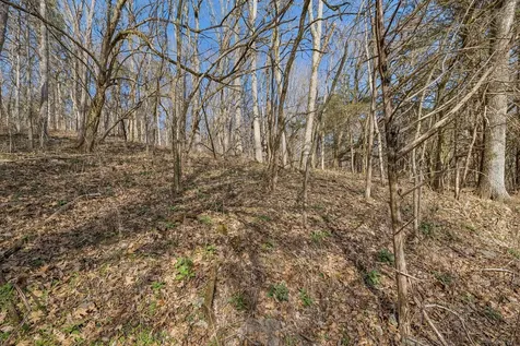 0 Dyer Branch Road Gordonsville TN 38563