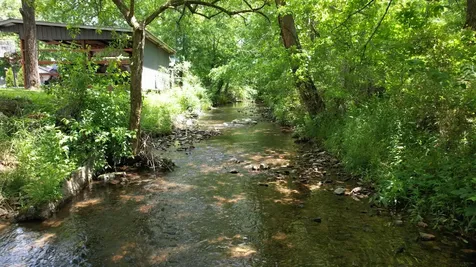 2540 Carl Fox Road Cornersville TN 37047