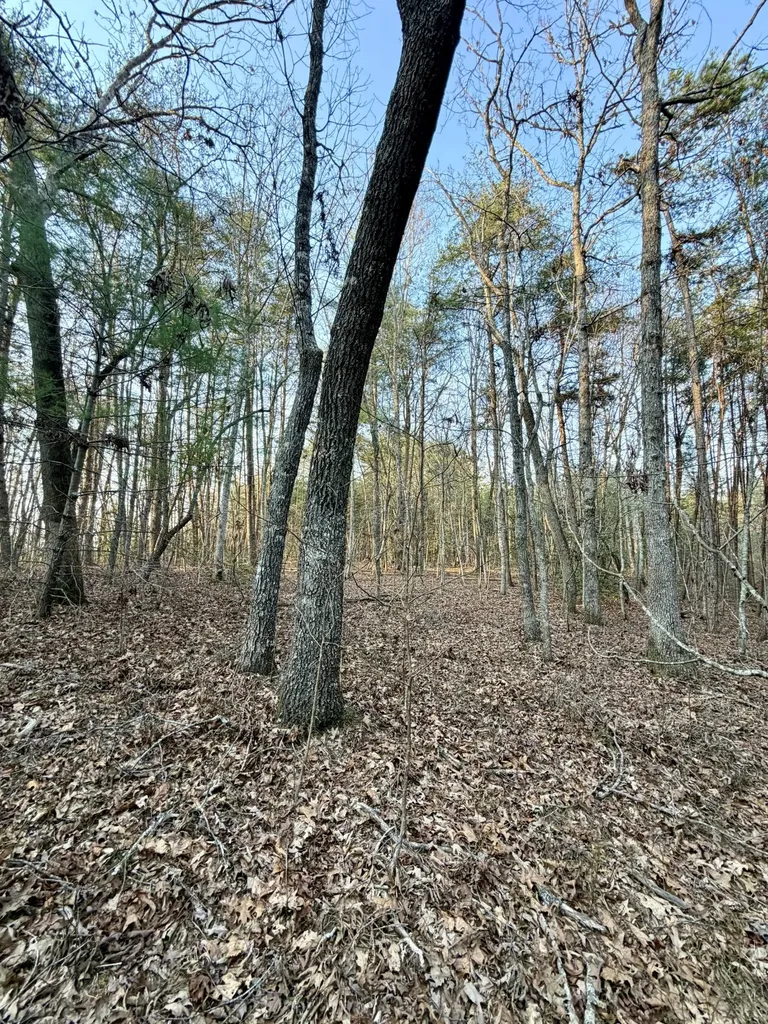 3 Nashville Highway Deer Lodge TN 37726