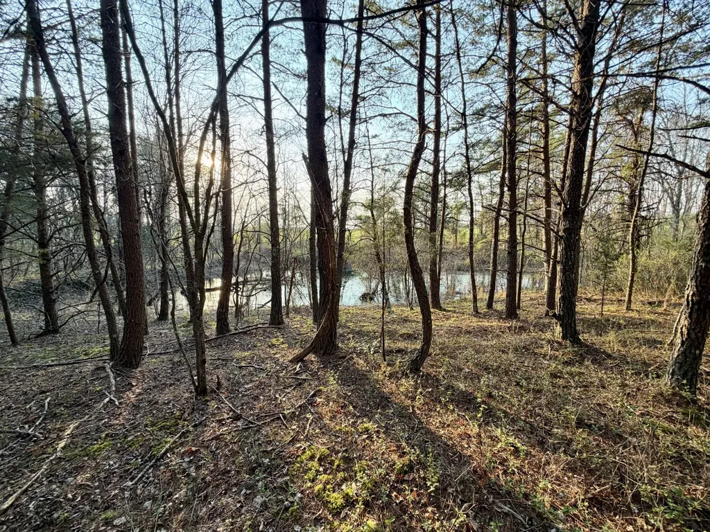 3 Nashville Highway Deer Lodge TN 37726