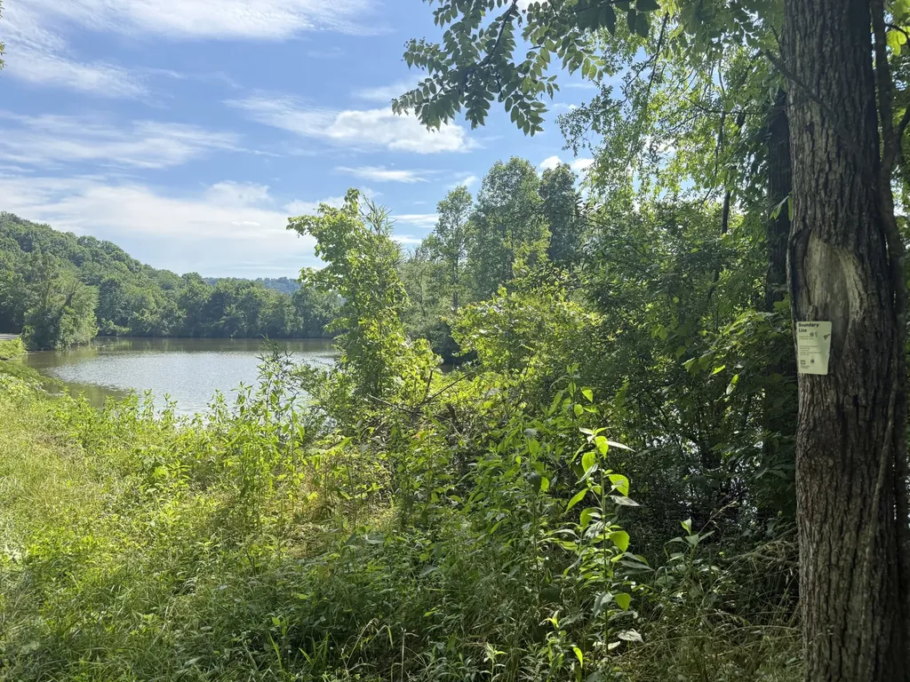 242 Lynch Lane Gainesboro TN 38562