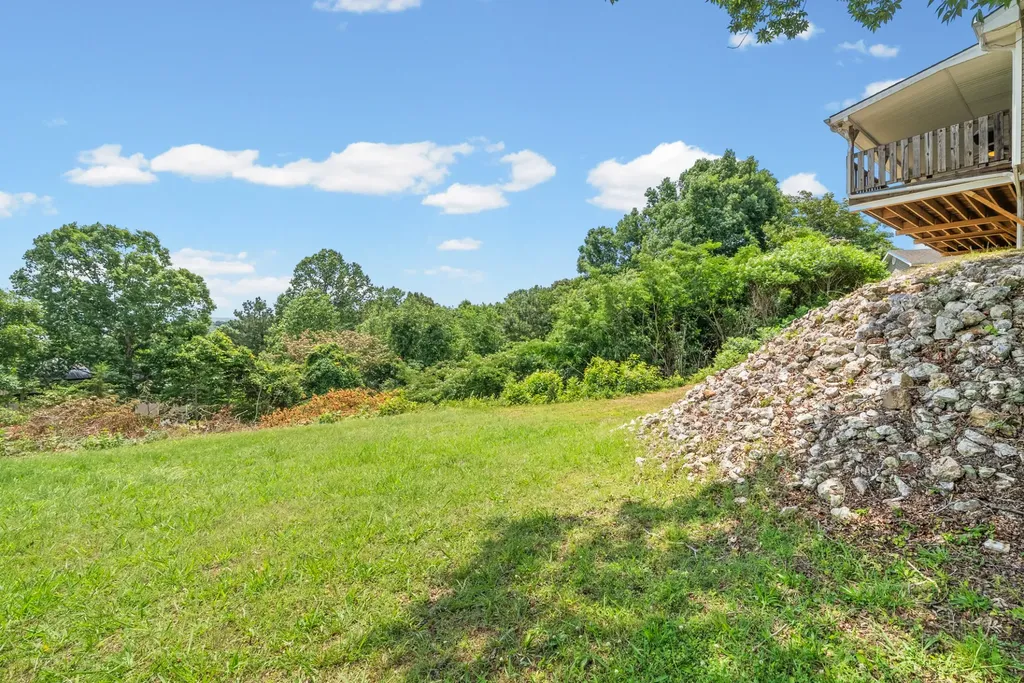 1060 Cypress Road Buchanan TN 38222