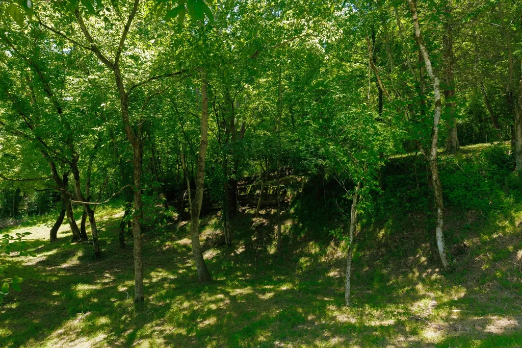 2022 Southport Road Culleoka TN 38451