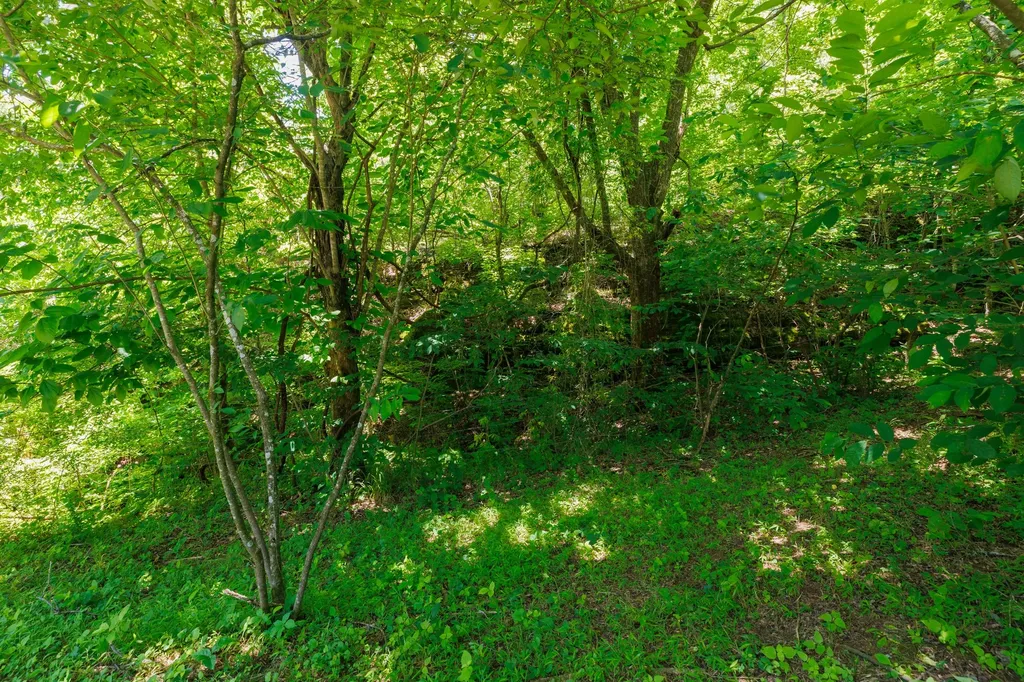 2022 Southport Road Culleoka TN 38451