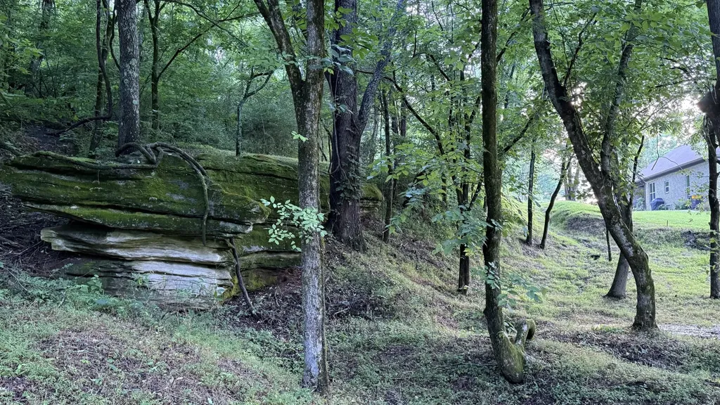 2022 Southport Road Culleoka TN 38451