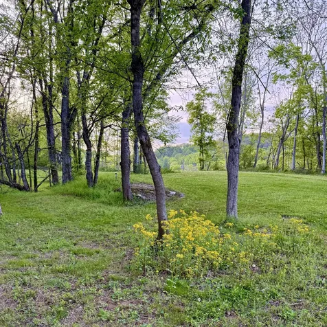 2022 Southport Road Culleoka TN 38451